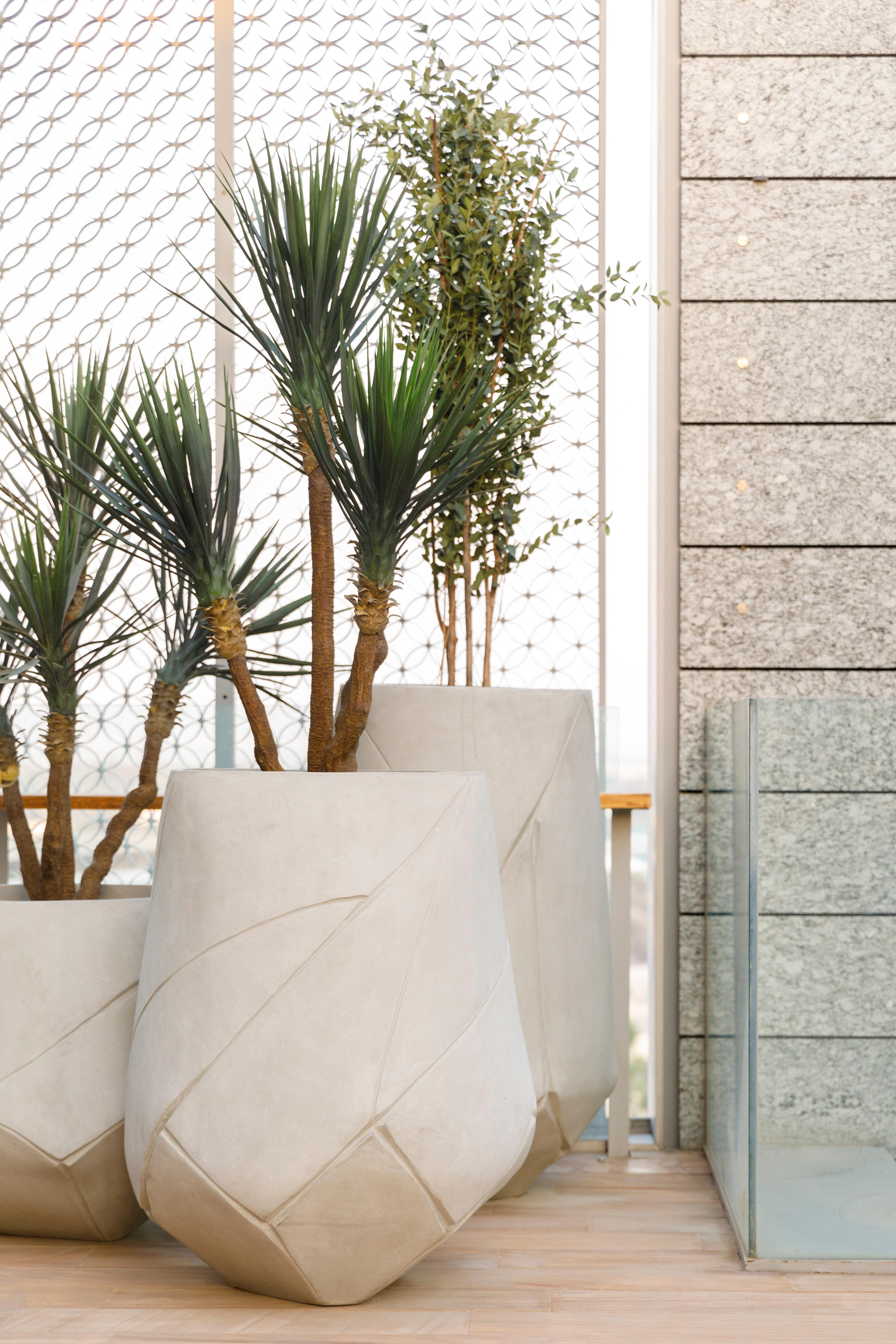 Post-Modern Bhaca XS White Planter by Indigenus For Sale