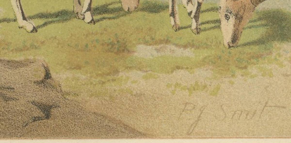 Bharal (Blue Sheep) – Antique Himalayan Wildlife Chromolithograph, 1894