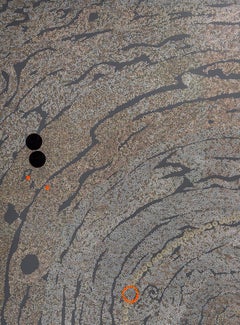 Estampe en édition limitée Bharti Kher ' Grey Not Black, Not White '