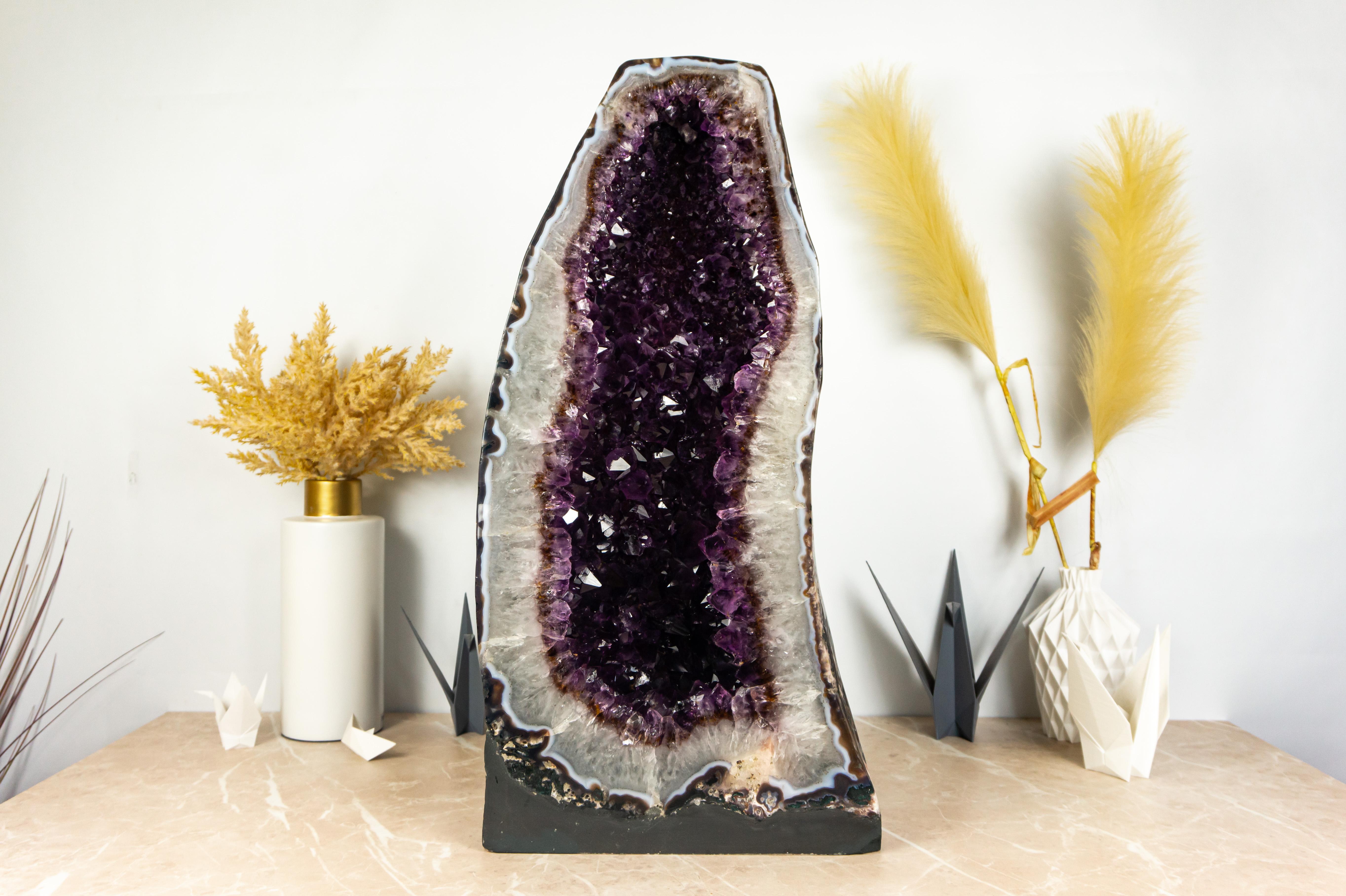 Rare in many ways, this Amethyst geode brings an aesthetically pleasing formation with its purple amethyst crystals beautifully contrasting against the white quartz, creating a stunning beauty that is further enhanced by the spread of golden