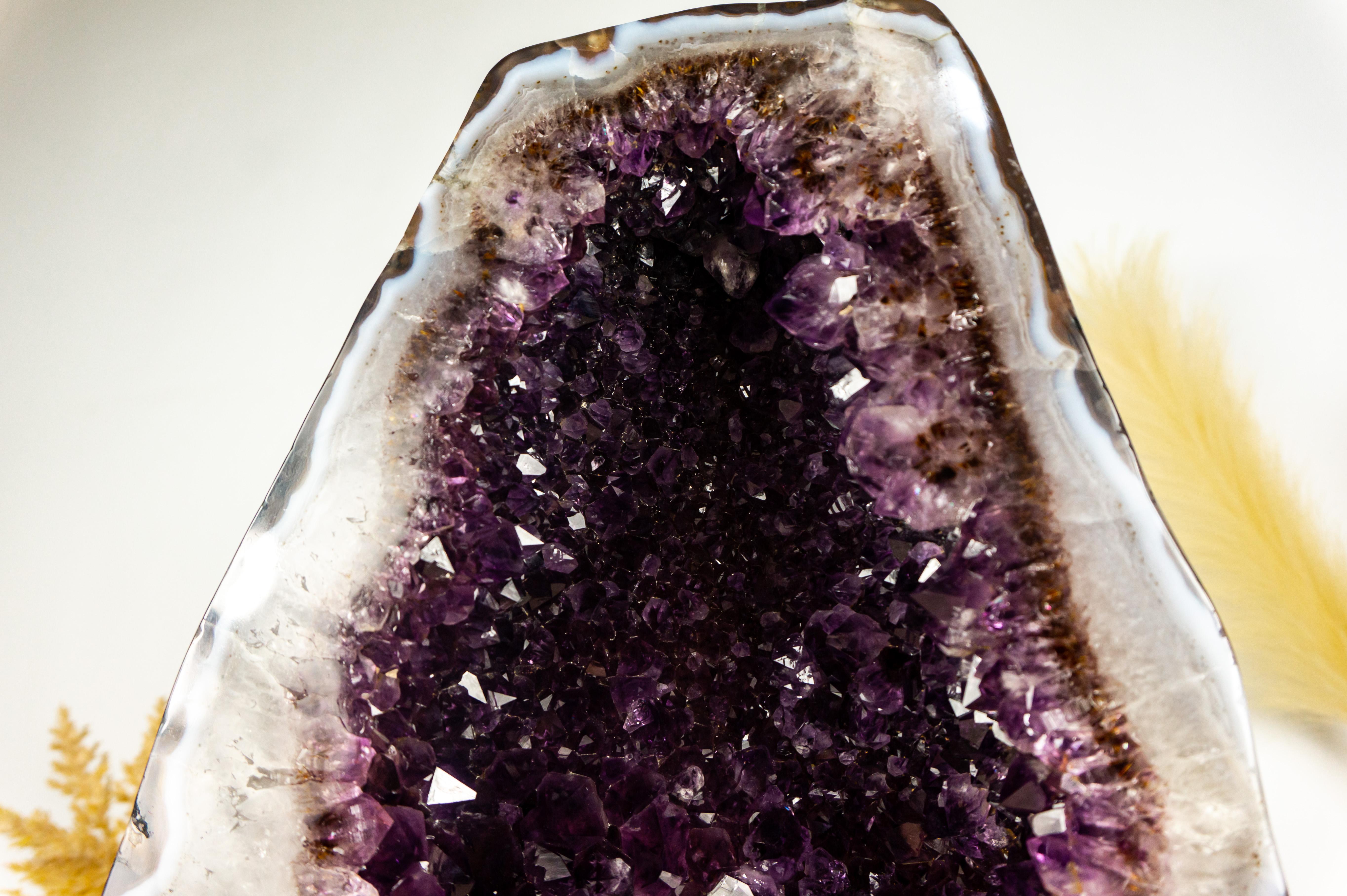 Bi-Color Amethyst Cathedral Geode with Dark Saturated AAA Purple Amethyst Druzy In Excellent Condition For Sale In Ametista Do Sul, BR