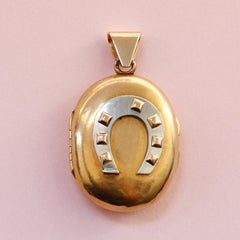 Bi-Color Gold Horseshoe Locket
