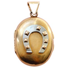 Bi-Color Gold Horseshoe Locket