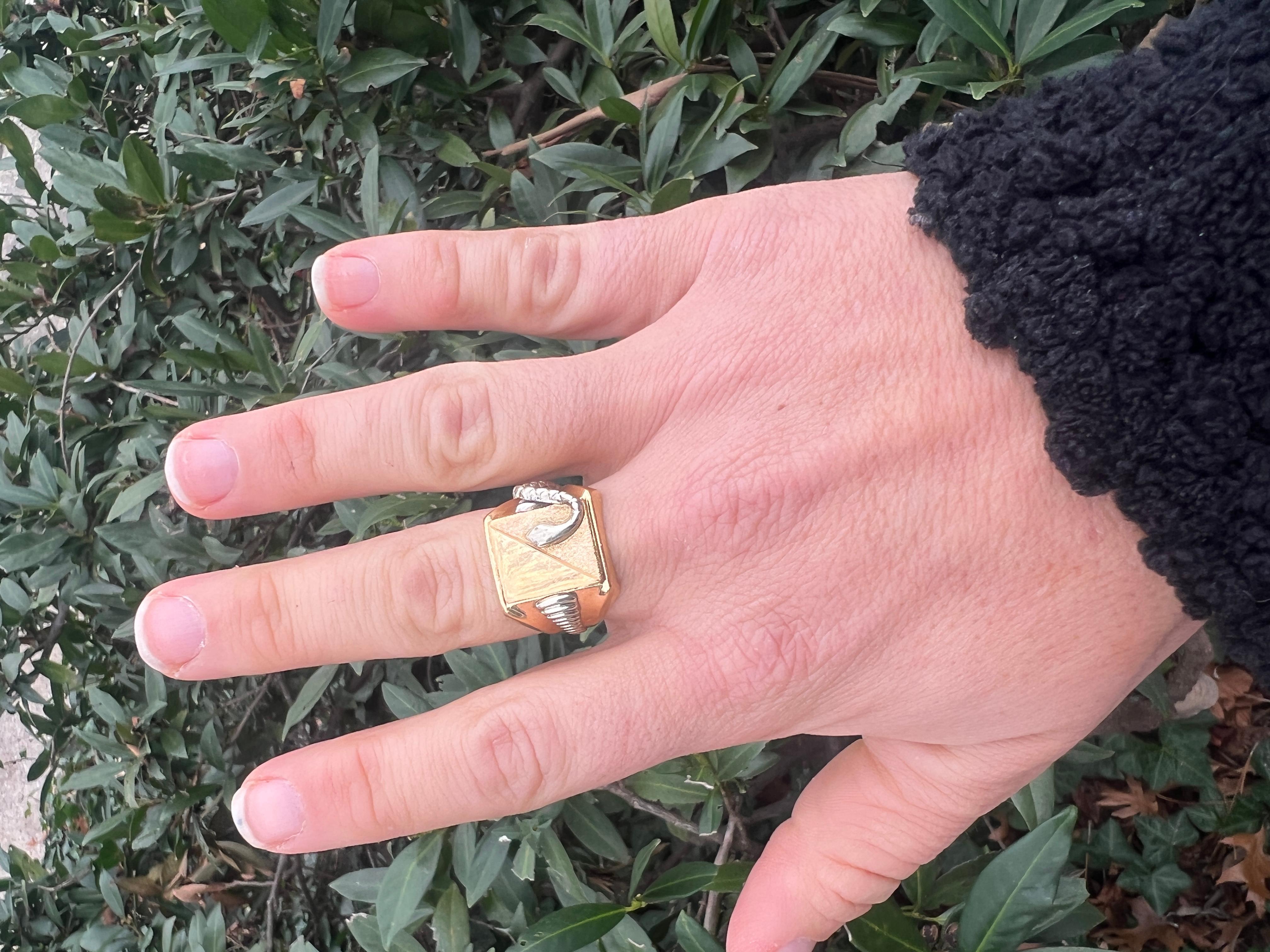 Bi Color Gold Rectangular Snake Signet Ring, 18KT Gold, Ring For Sale 1
