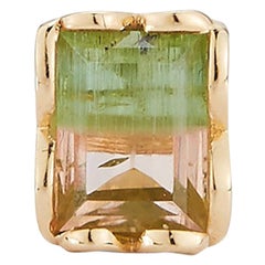 Hi June Parker 14 Karat Gold Single Stud Earring Bi-Color Tourmaline 