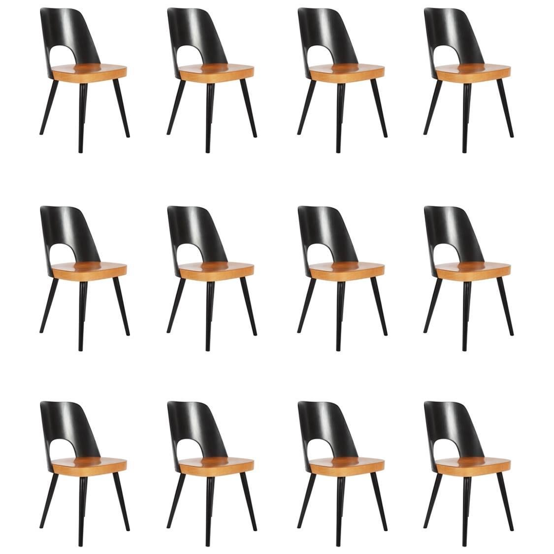 Bi-Colored Dining Chairs by Oswald Haerdtl