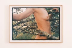 Color Photography