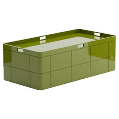Bibi Large Box (Green)