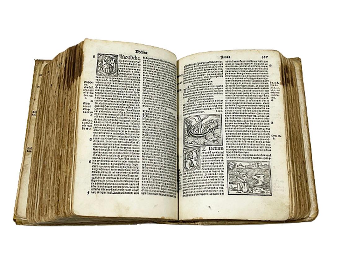 Biblia Cum Concordantijs Veteris & Novi Testamenti & Sacrorum Canonum, 1519 For Sale 6