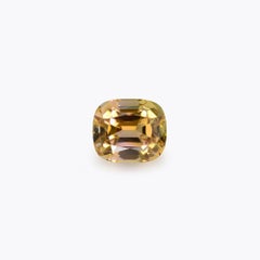Bicolor Autumn Tourmaline Ring Gem 8.03 Carat