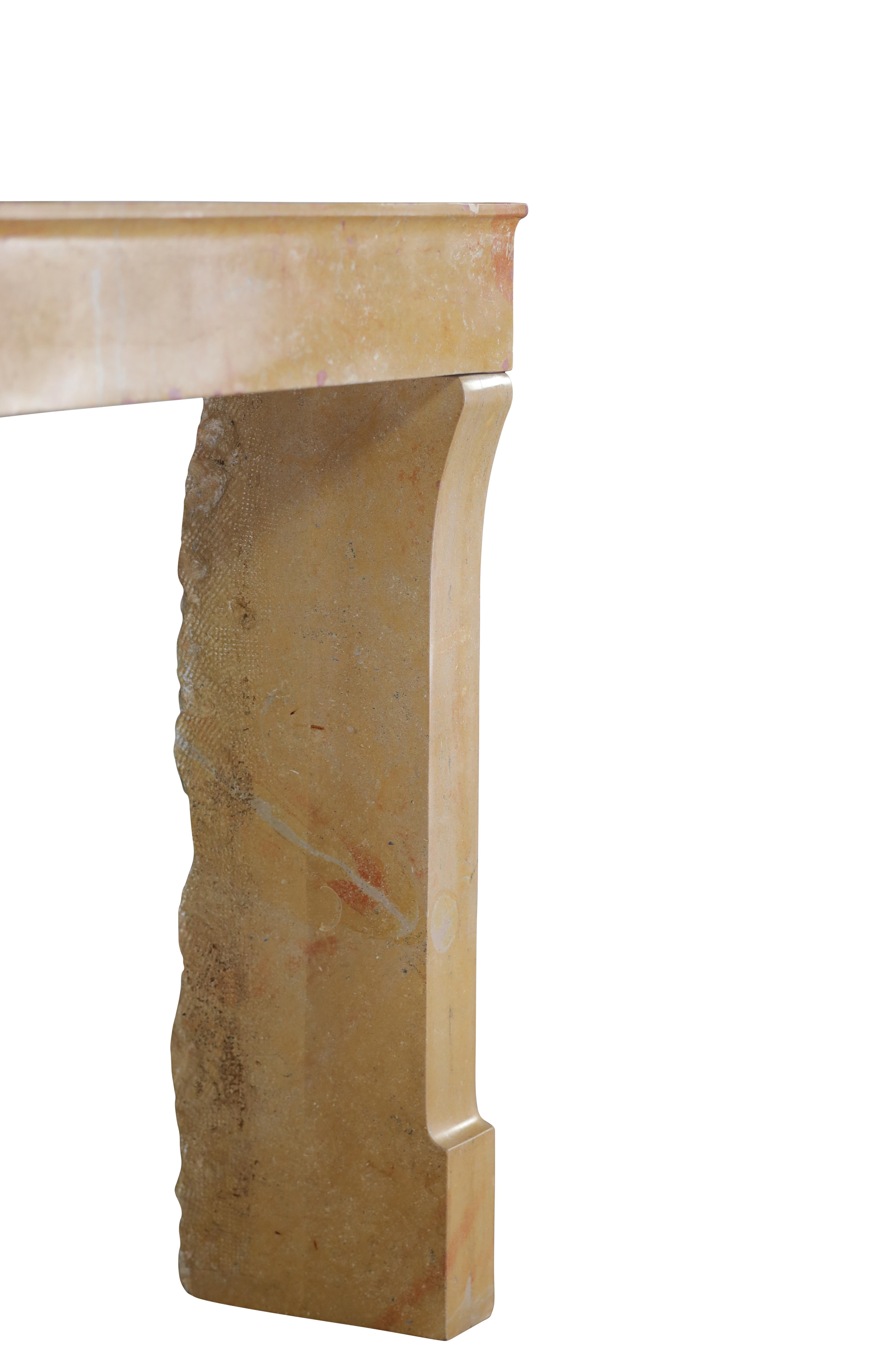 Bicolor Corton Stone Fireplace Surround From France Art By Nature For Sale 5