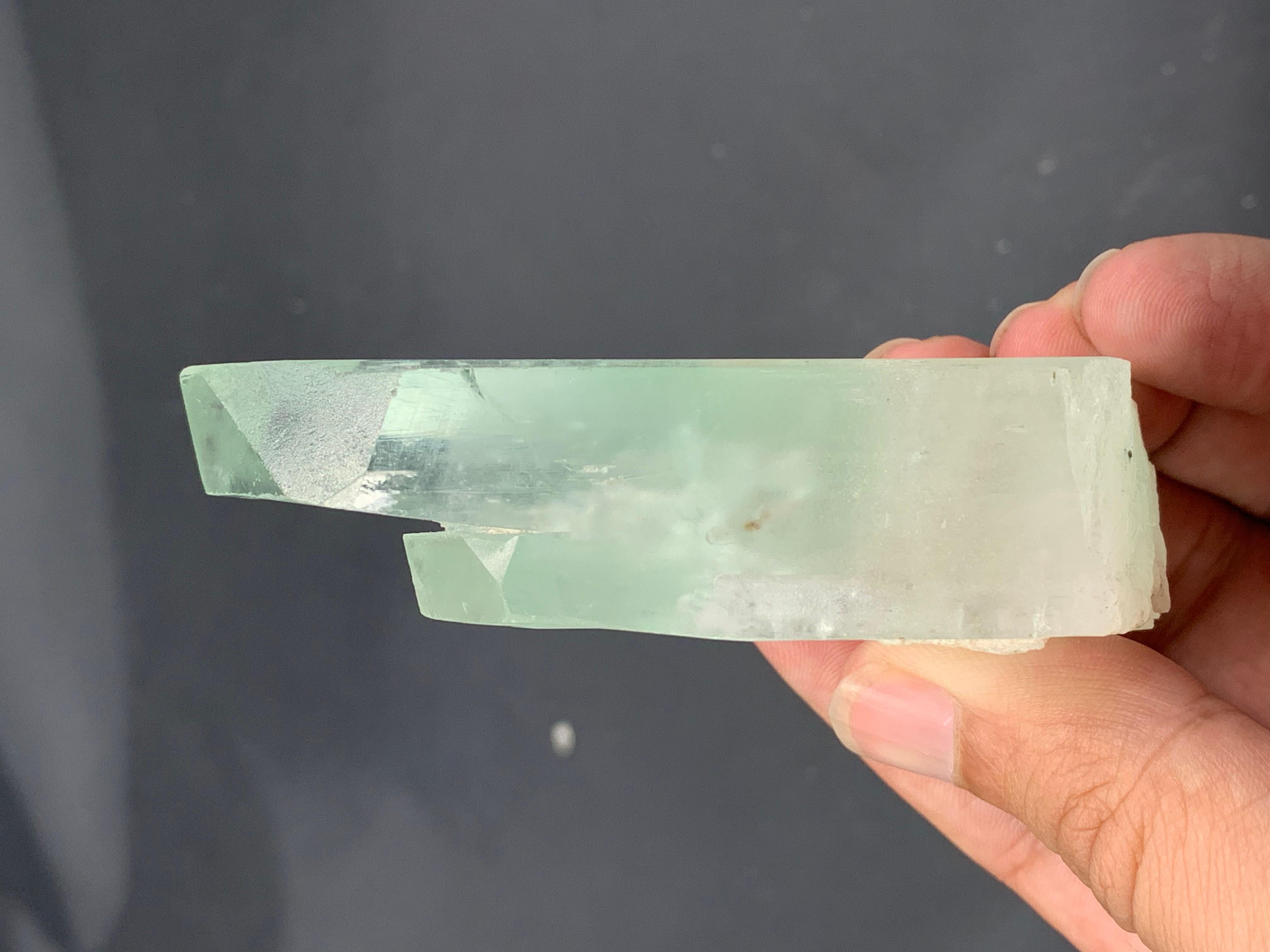 Kunzite Hiddenite bicolore con annesso cristallo secondario dall'Afghanistan in vendita 4