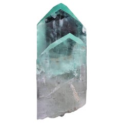 Kunzite cachée bicolore avec cristal secondaire attaché d'Afghanistan