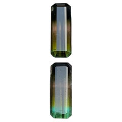 Paire de boucles d'oreilles en tourmaline naturelle bicolore taille émeraude 6,30 carats