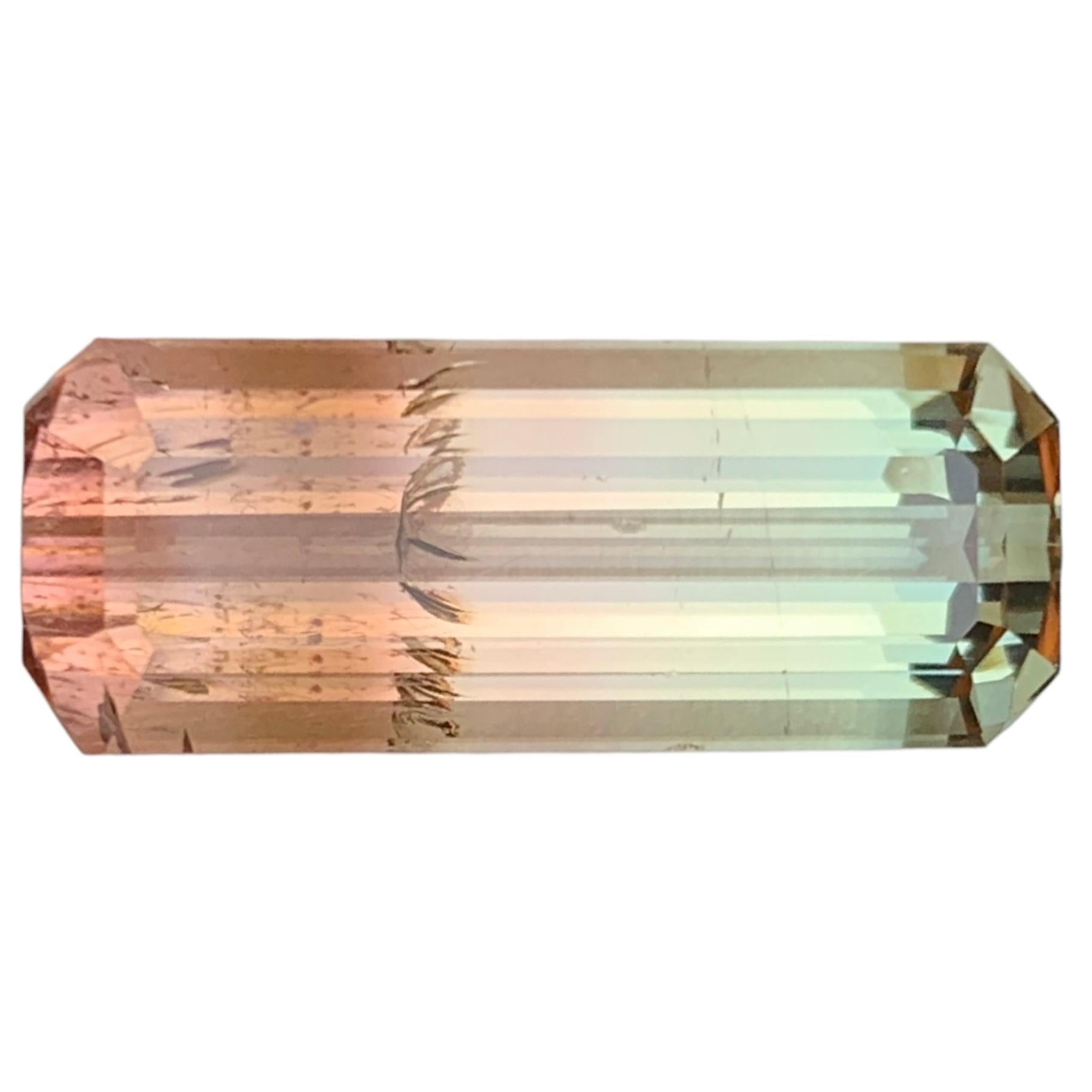 Bicolor Natural Tourmaline Loose Gemstone for Necklace Pendant, Bracelet or any other Jewelry Setting-Step Emerald Cut!!

💎 GEMSTONE TYPE: Tourmaline 
⚖️ WEIGHT: 15.85 Carats
🪚 SHAPE & CUT: Emerald Cut
📏 SIZE (MM): 23.90 x 9.45 x 7.54
🌈 COLOR: