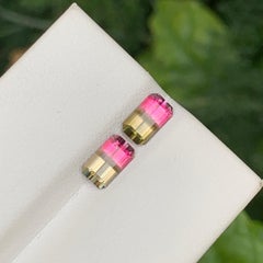 Bicolor Radiant Pink Olive Green Tourmaline Pair Gemstone for Earrings Jewellery