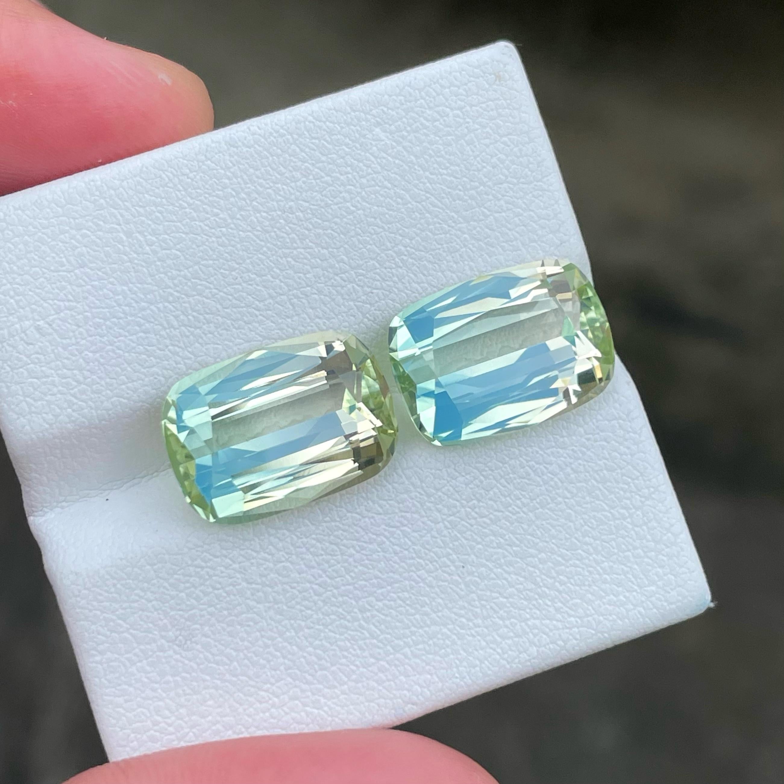 Moderne Paire de tourmalines bicolores de 16,30 carats, tourmaline naturelle du Nigeria taillée en coussin en vente