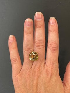 14.68 Carat Fall Bicolor Tourmaline Square Cushion Cut Loose Gemstone - Merkaba