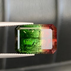 Bicolor Watermelon Tourmaline Raspberry Red Saturated Green Gemstone for Jewelry