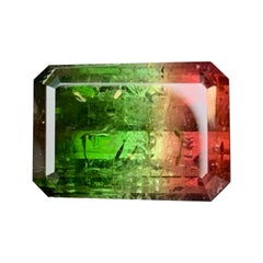Bicolor Watermelon Tourmaline Raspberry Red Saturated Green Gemstone for Jewelry