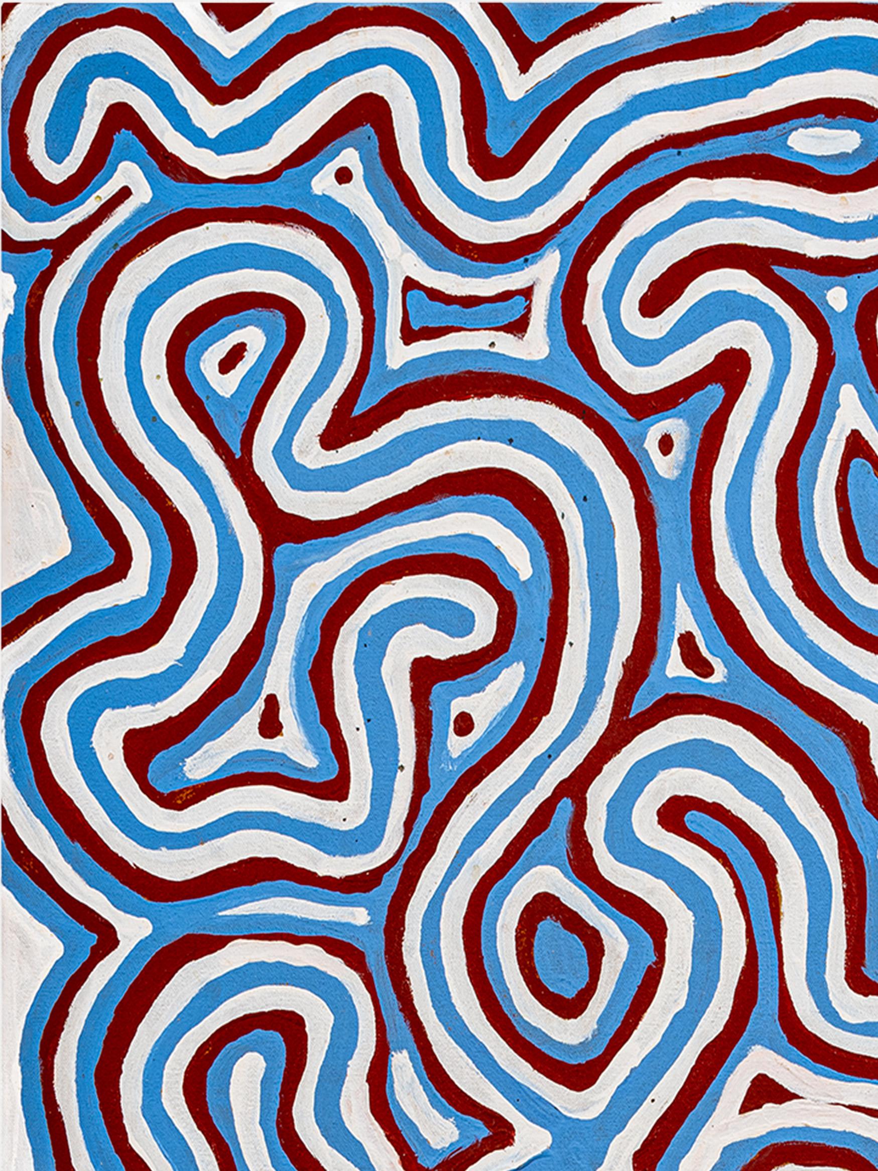 El sueño de la enredadera de los arbustos - Ngalyipi Jukurrpa - Painting Abstracto de Biddy Long Yulngarri