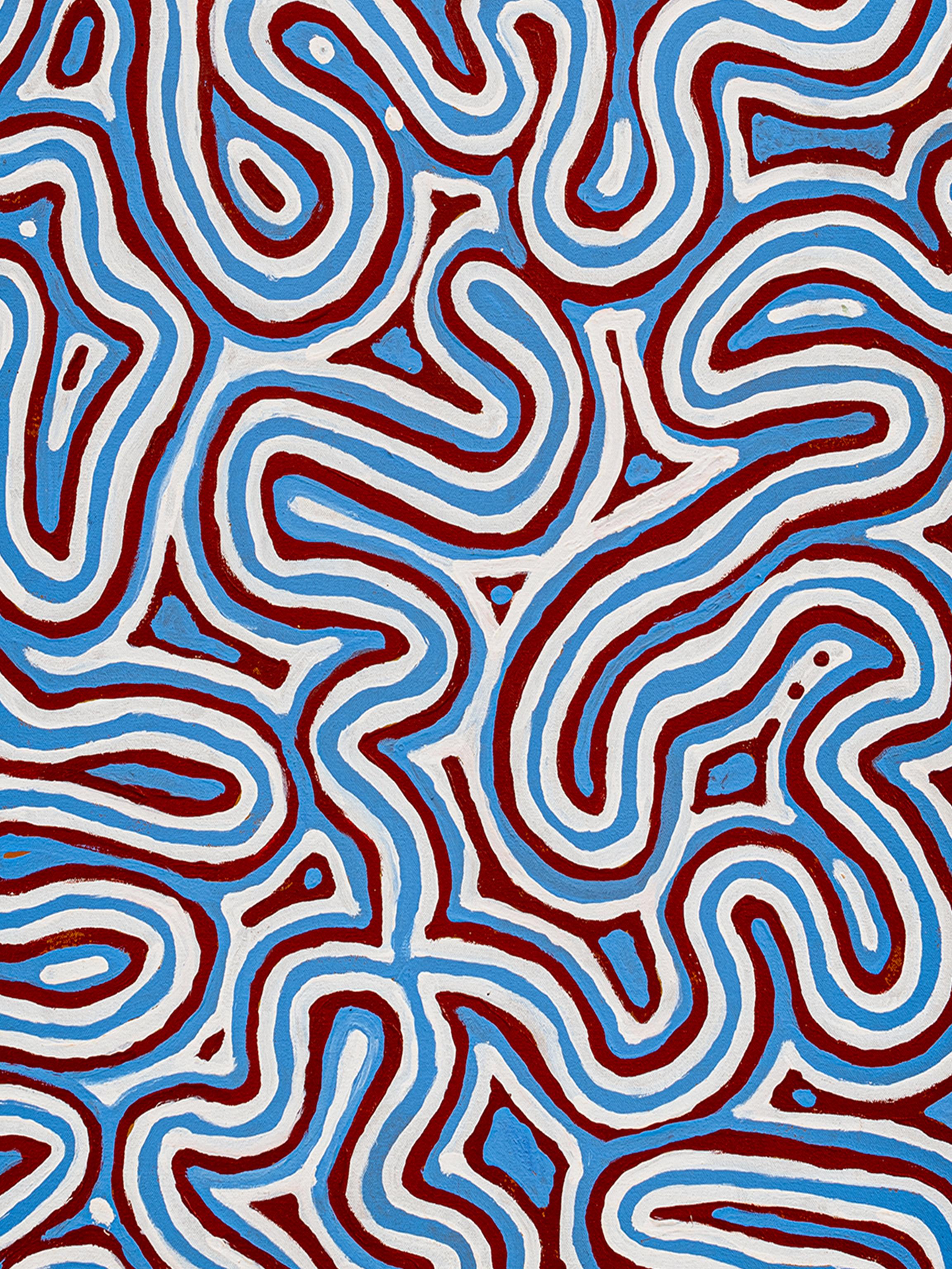 El sueño de la enredadera de los arbustos - Ngalyipi Jukurrpa - Abstract Painting Gris de Biddy Long Yulngarri