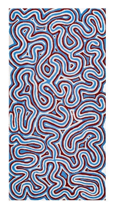 El sueño de la enredadera de los arbustos - Ngalyipi Jukurrpa