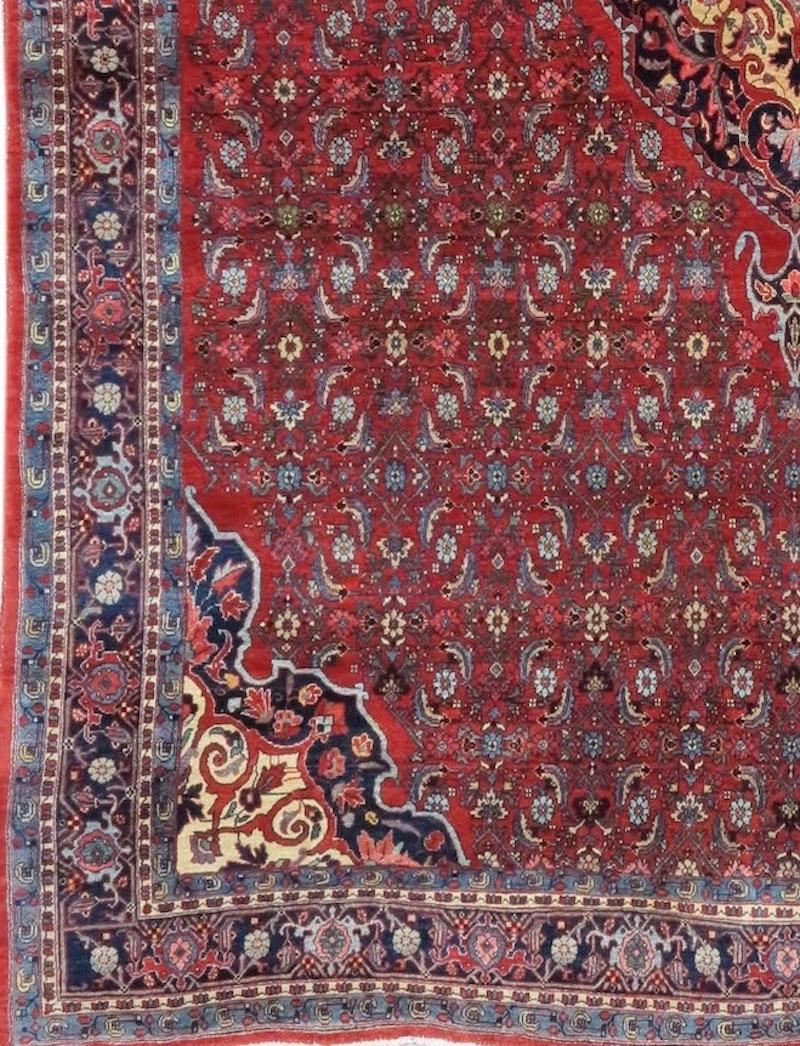 Great Bidjar carpets are known for their delicate drawing and hardy construction. This elegant example draws a fine all-over design of foliage and blossoms arranged around jewel-like central rosettes within a lattice grid. This arrangement is known