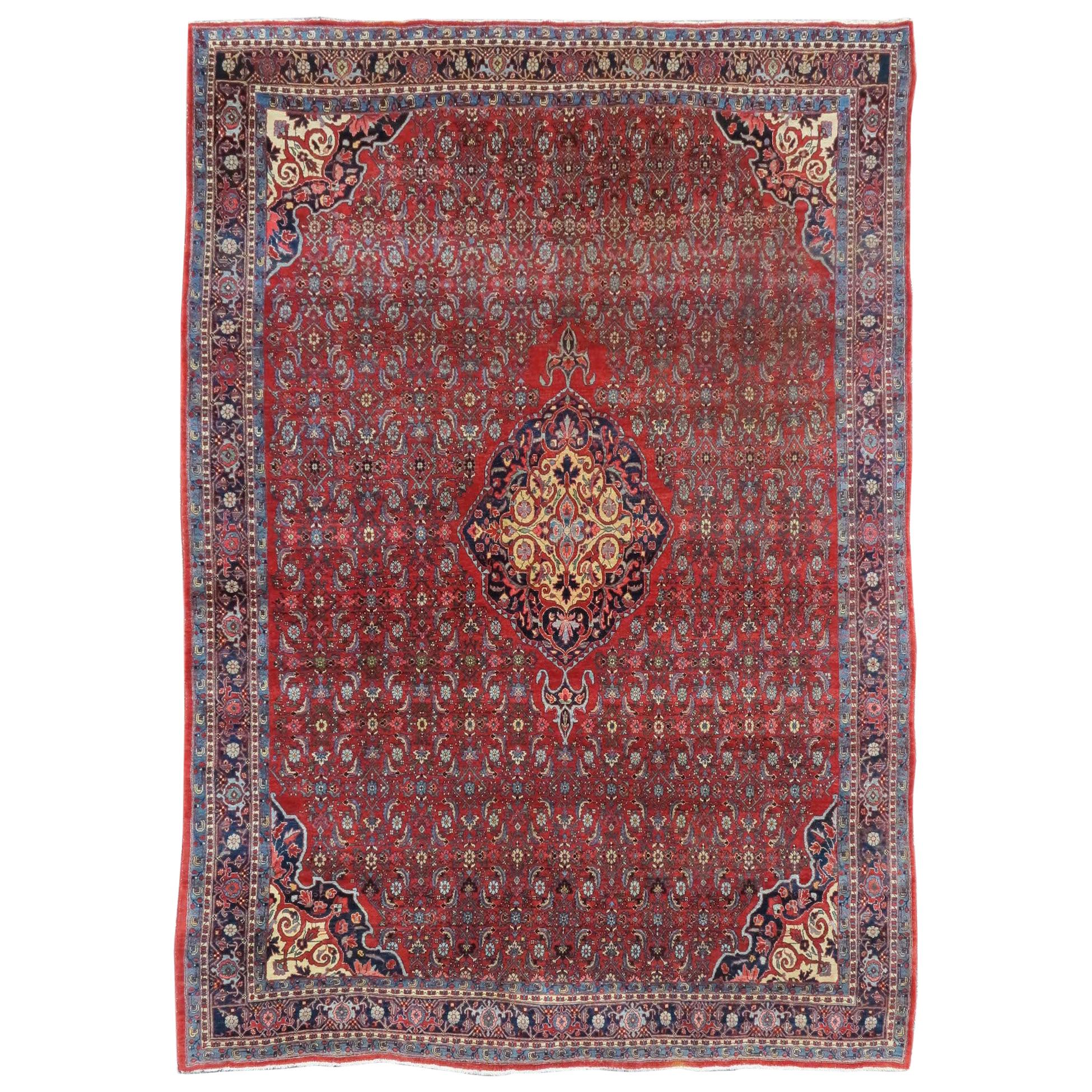 Bidjar Carpet For Sale