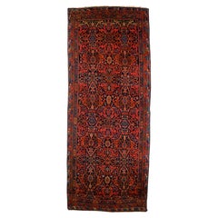 Tappeto Bidjar 5'4" x 13'7"