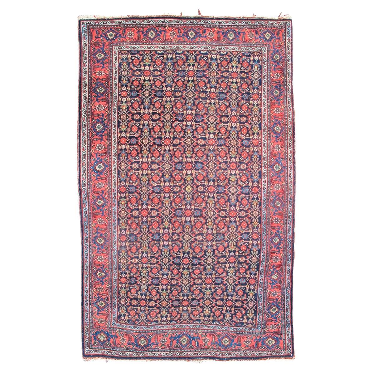 Bidjar Rug, Early 20th Century