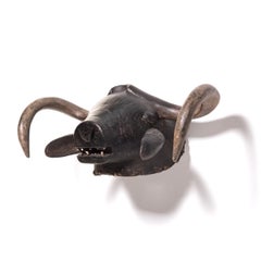Bidjogo Tribal Initiation Ox Mask