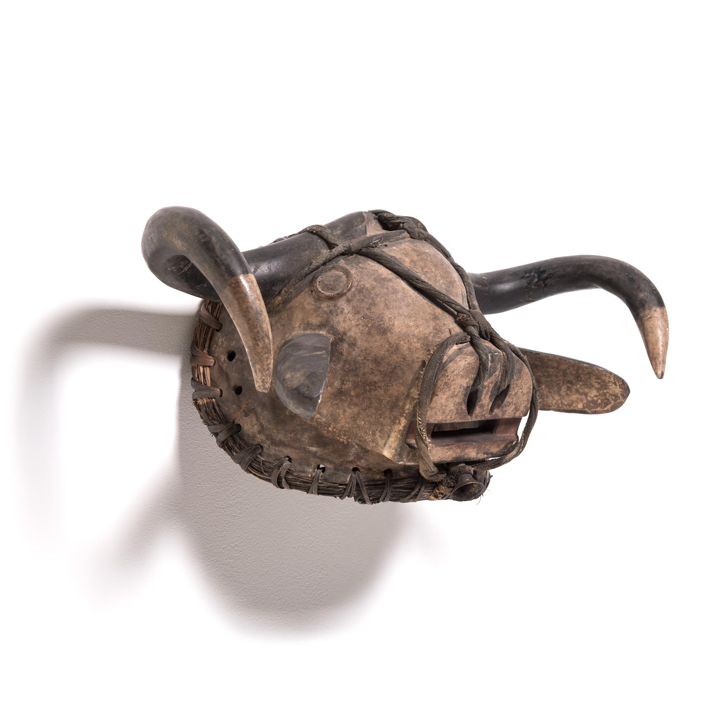 Tribal Masque de bœuf d'initiation tribale Bidjogo, vers 1900 en vente