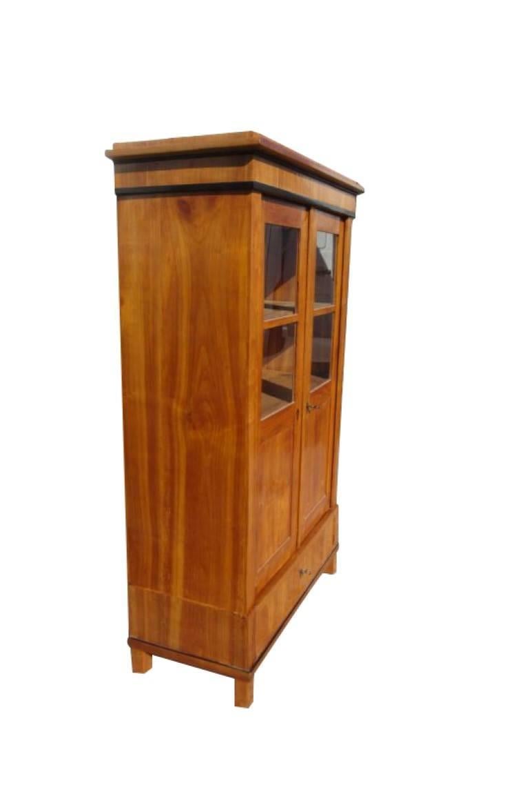 Woodwork Biedermeier Bookcase from circa 1830 in Cherrywood For Sale