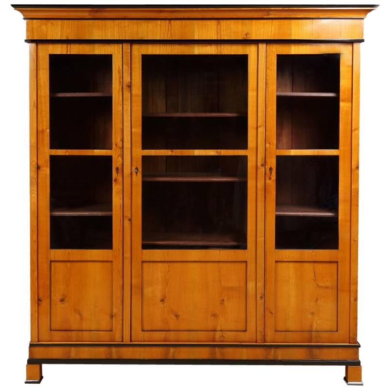 Biedermeier Bookcase in Cherry, circa 1840 For Sale