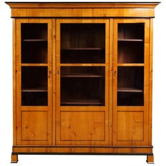 Antique Biedermeier Bookcase in Cherry, circa 1840