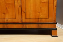 Biedermeier Bookcase in Cherry, circa 1840