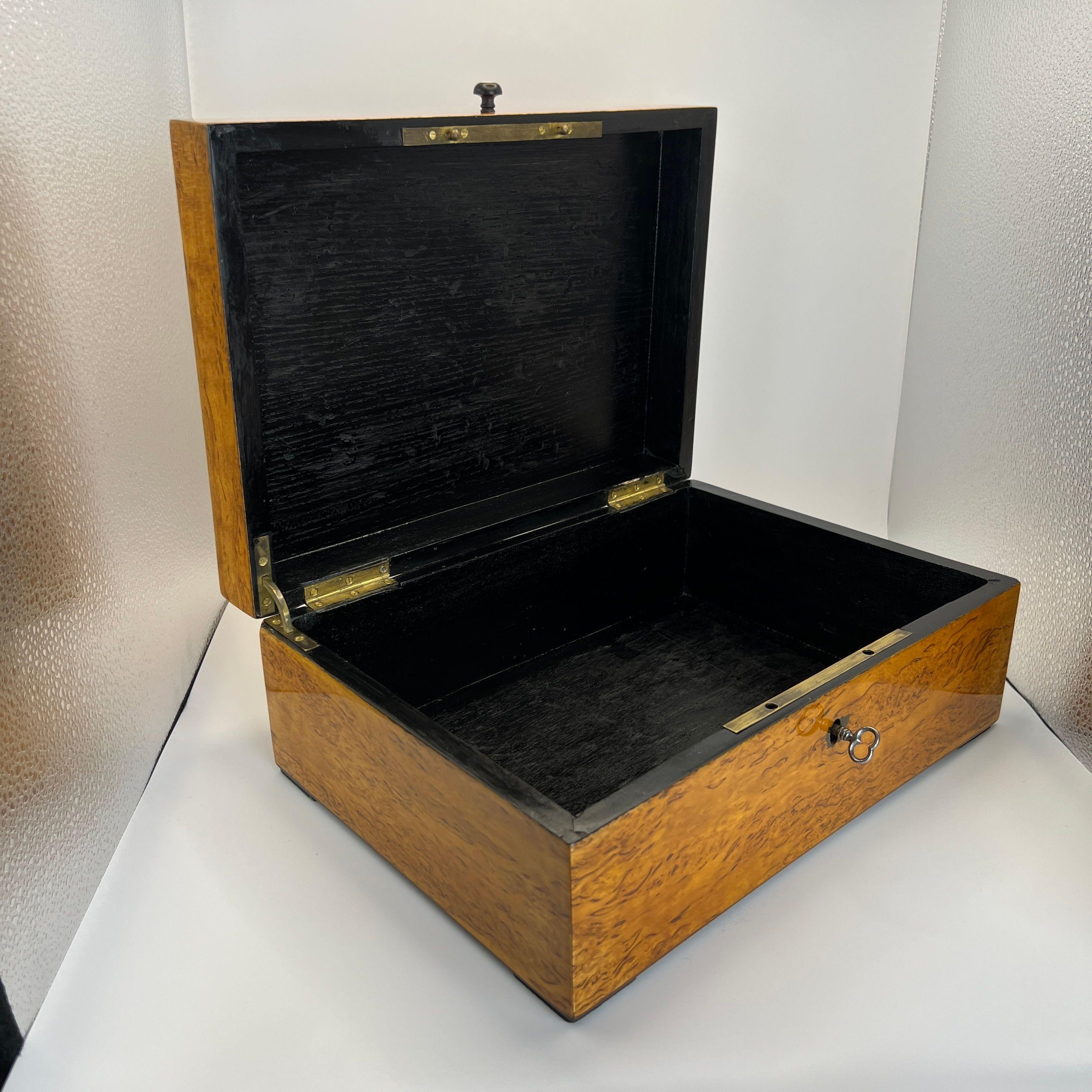 Boîte Biedermeier, bouleau, laiton, Allemagne, vers 1840 en vente 4