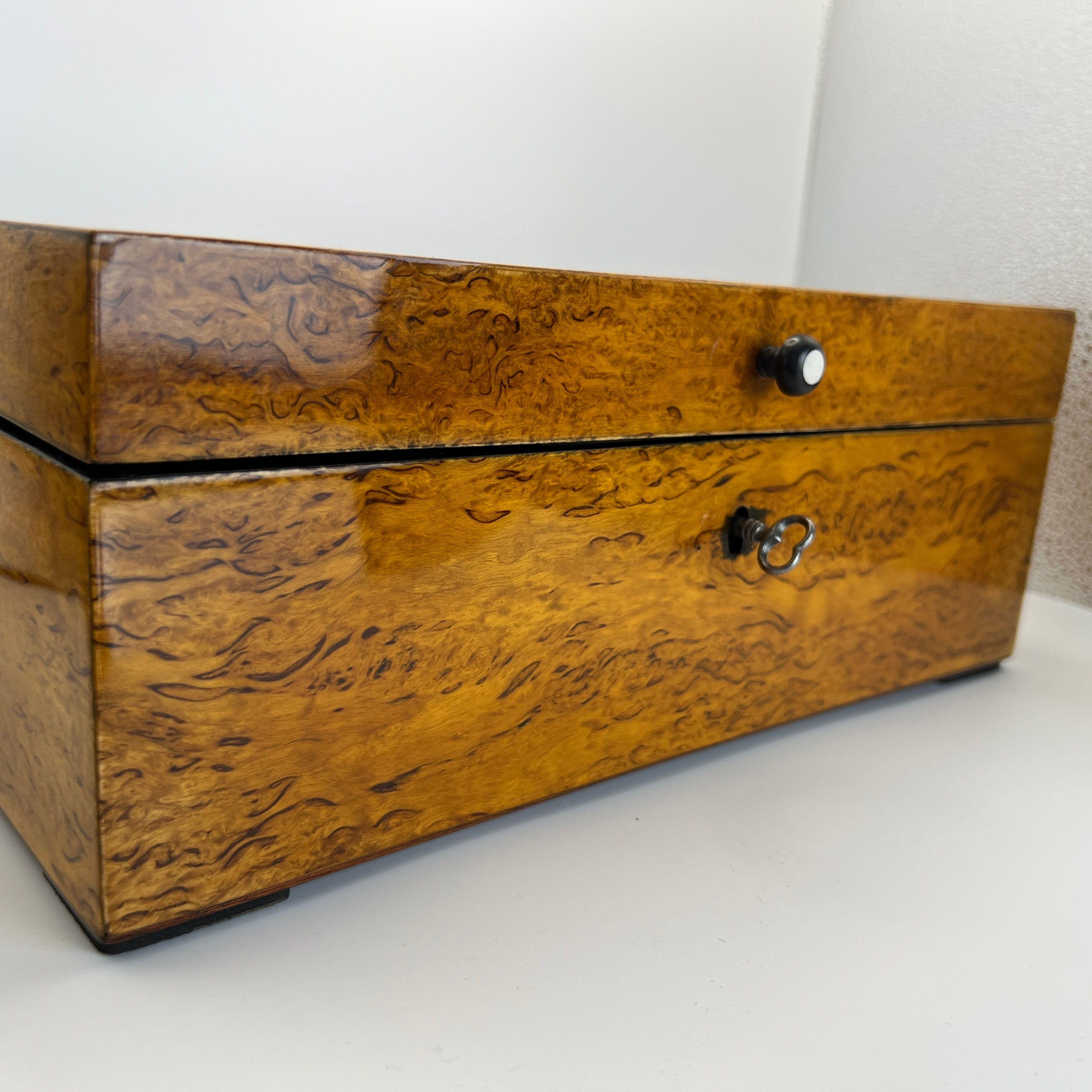 Boîte Biedermeier, bouleau, laiton, Allemagne, vers 1840 en vente 5