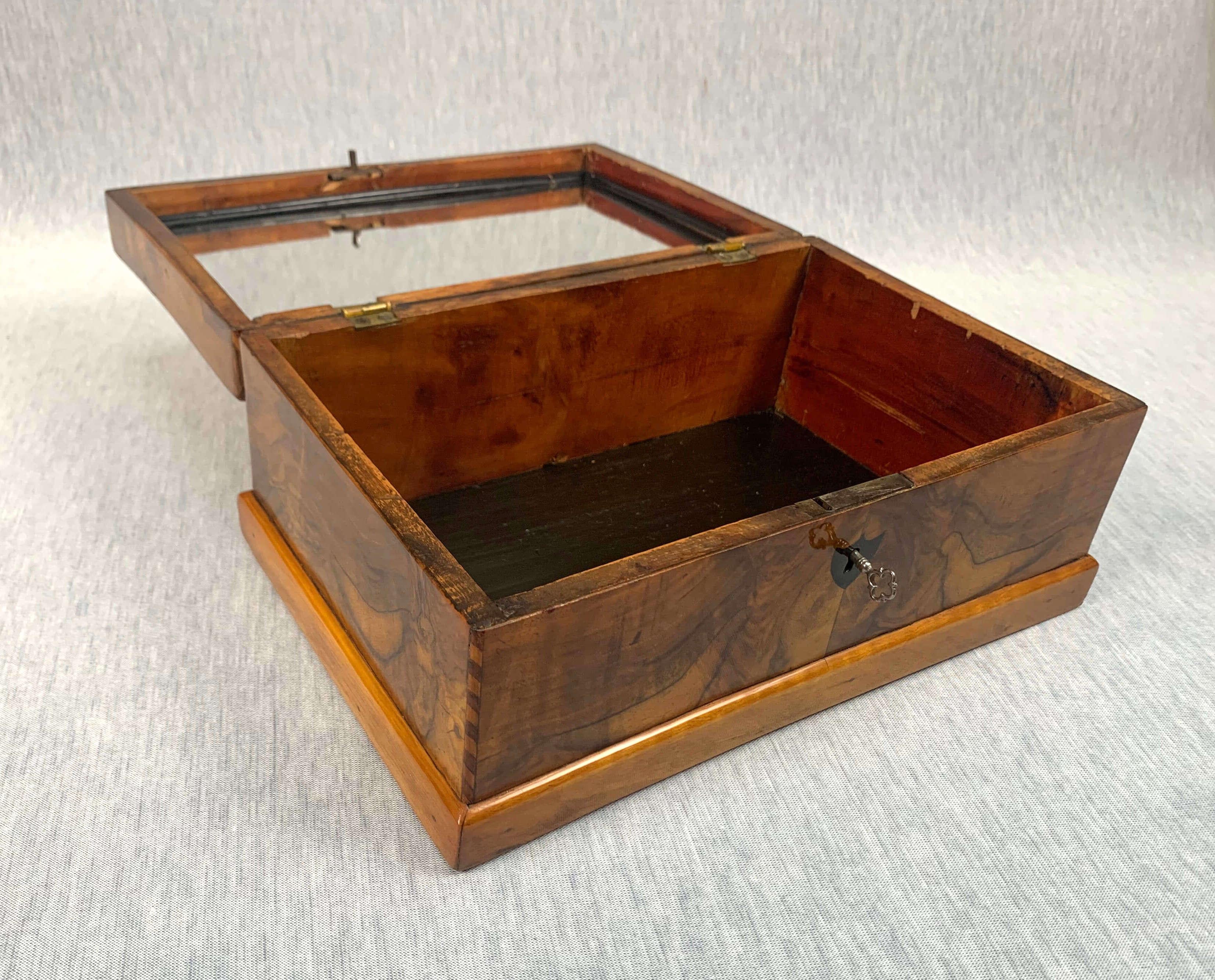 Biedermeier Box, Walnut Veneer and Maple, Austria, circa 1820 3