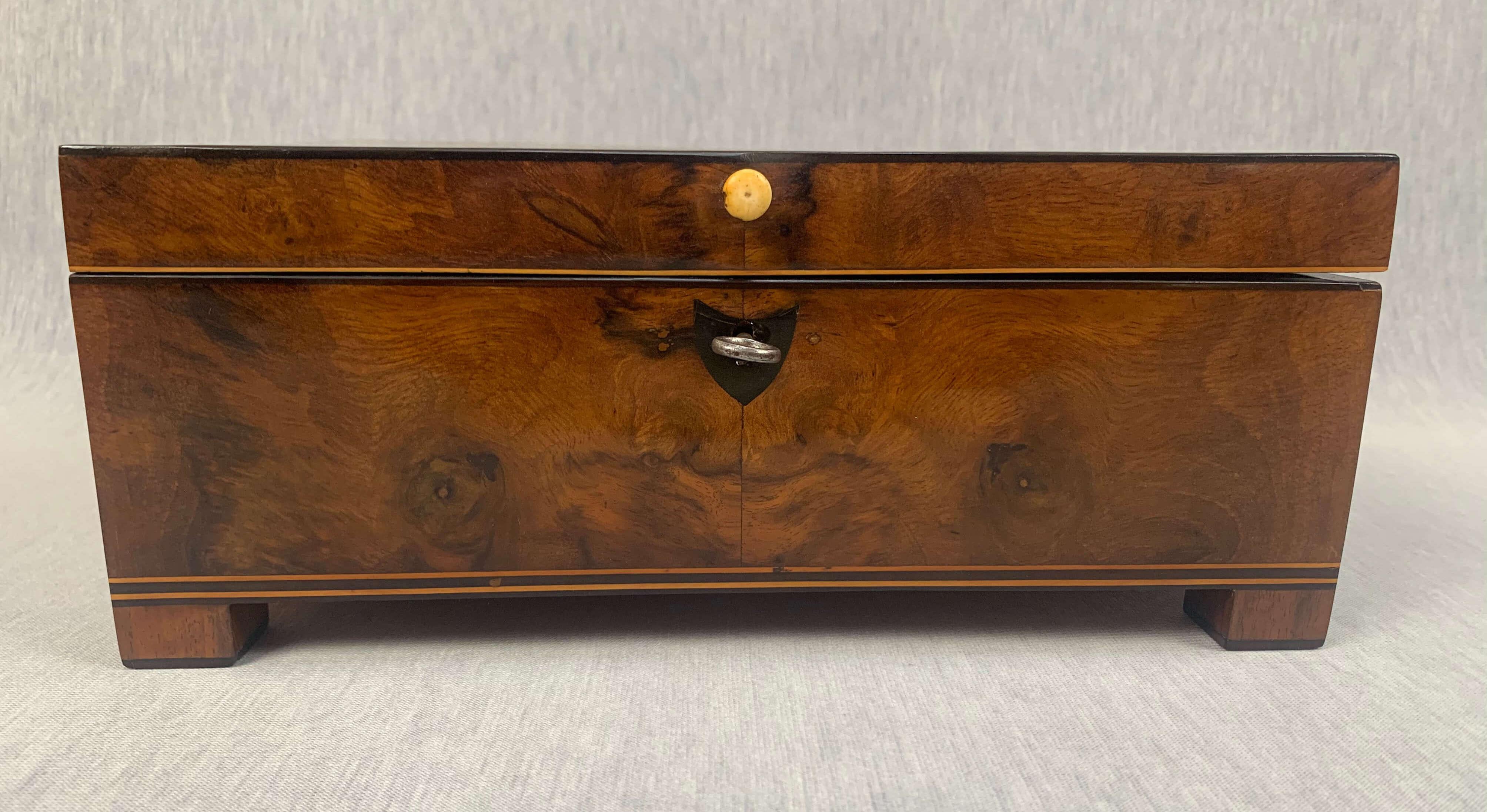 Ebonized Biedermeier Box with Interior, Walnut, Birch, Cherry, Maple, Vienna, circa 1820