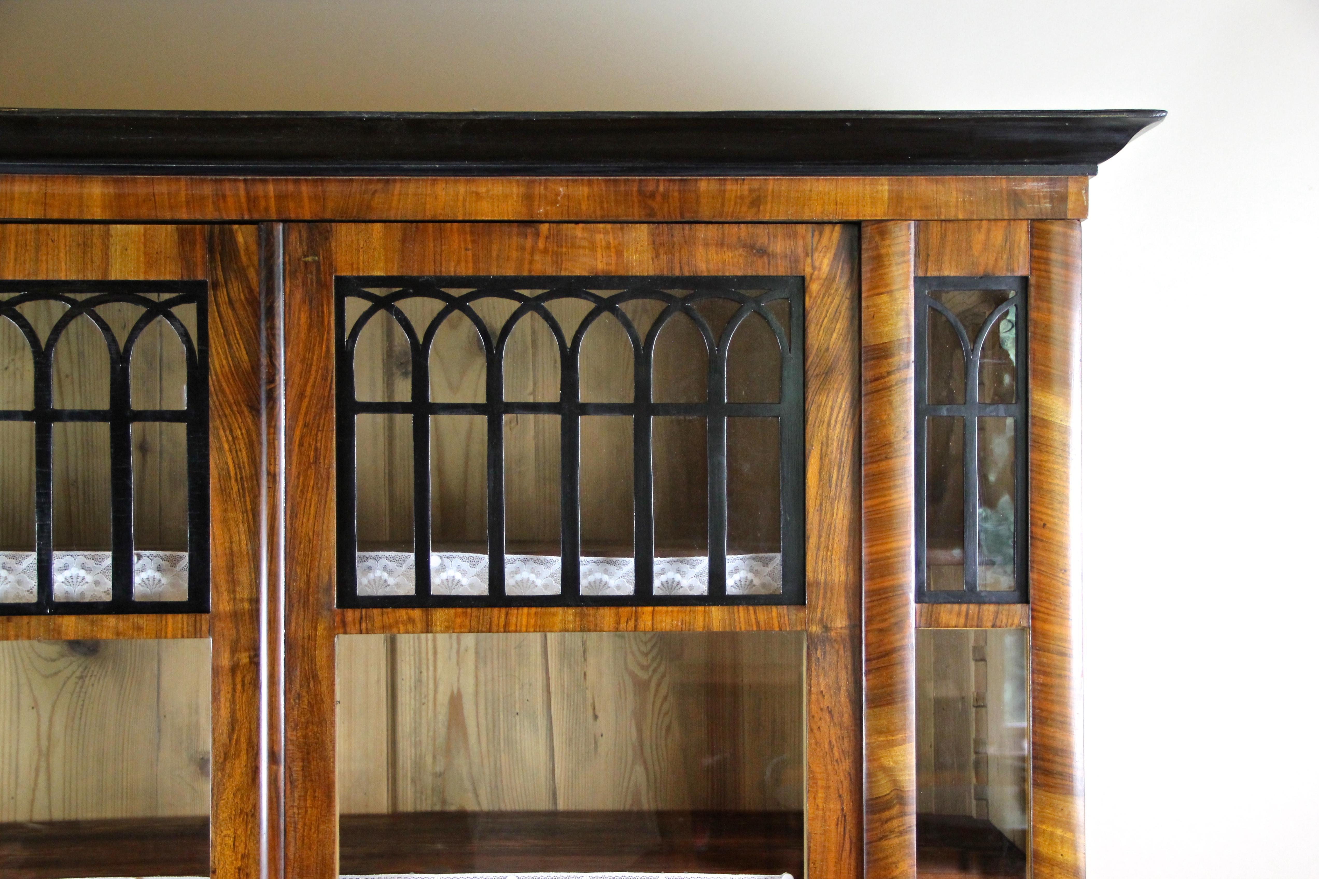 Biedermeier Cabinet Bookcase, Austria, circa 1830 For Sale 2