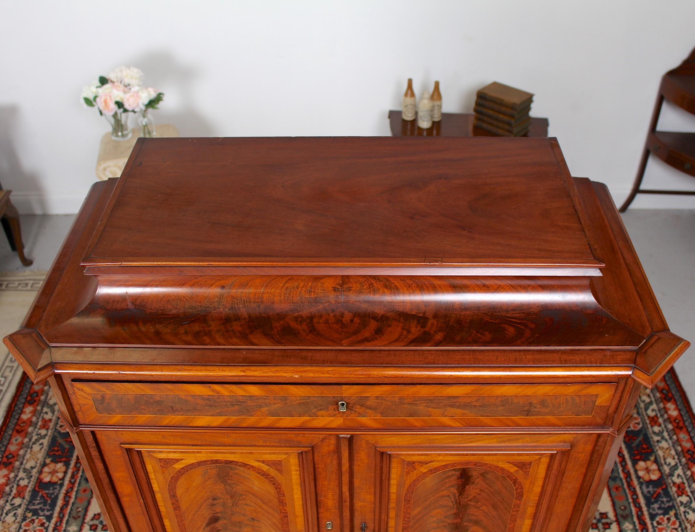 Biedermeier Cabinet Chest Swedish Walnut Mahogany Dresser, 19th Century For Sale 7