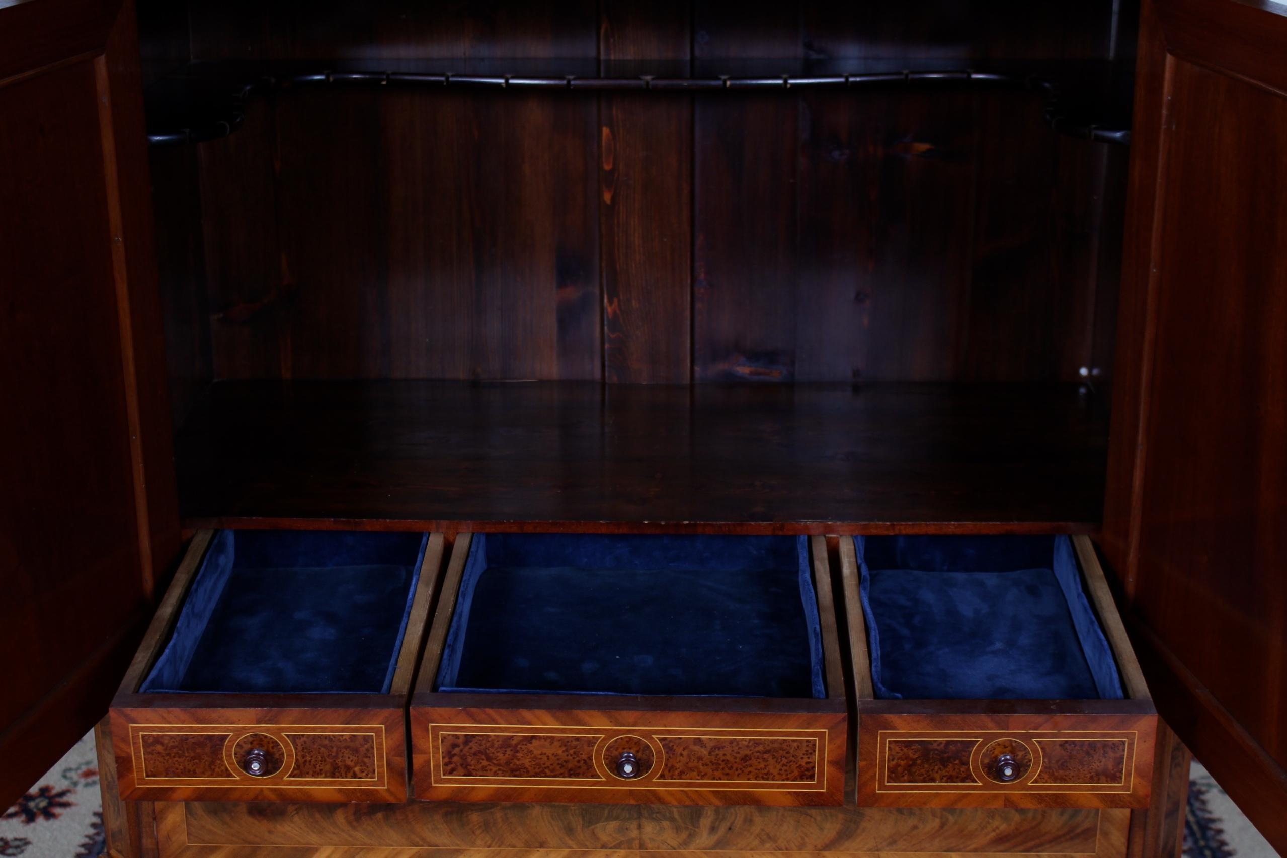 Biedermeier Cabinet Chest Swedish Walnut Mahogany Dresser, 19th Century For Sale 9
