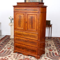 Biedermeier Cabinet Chest Swedish Walnut Mahogany Dresser, 19th Century