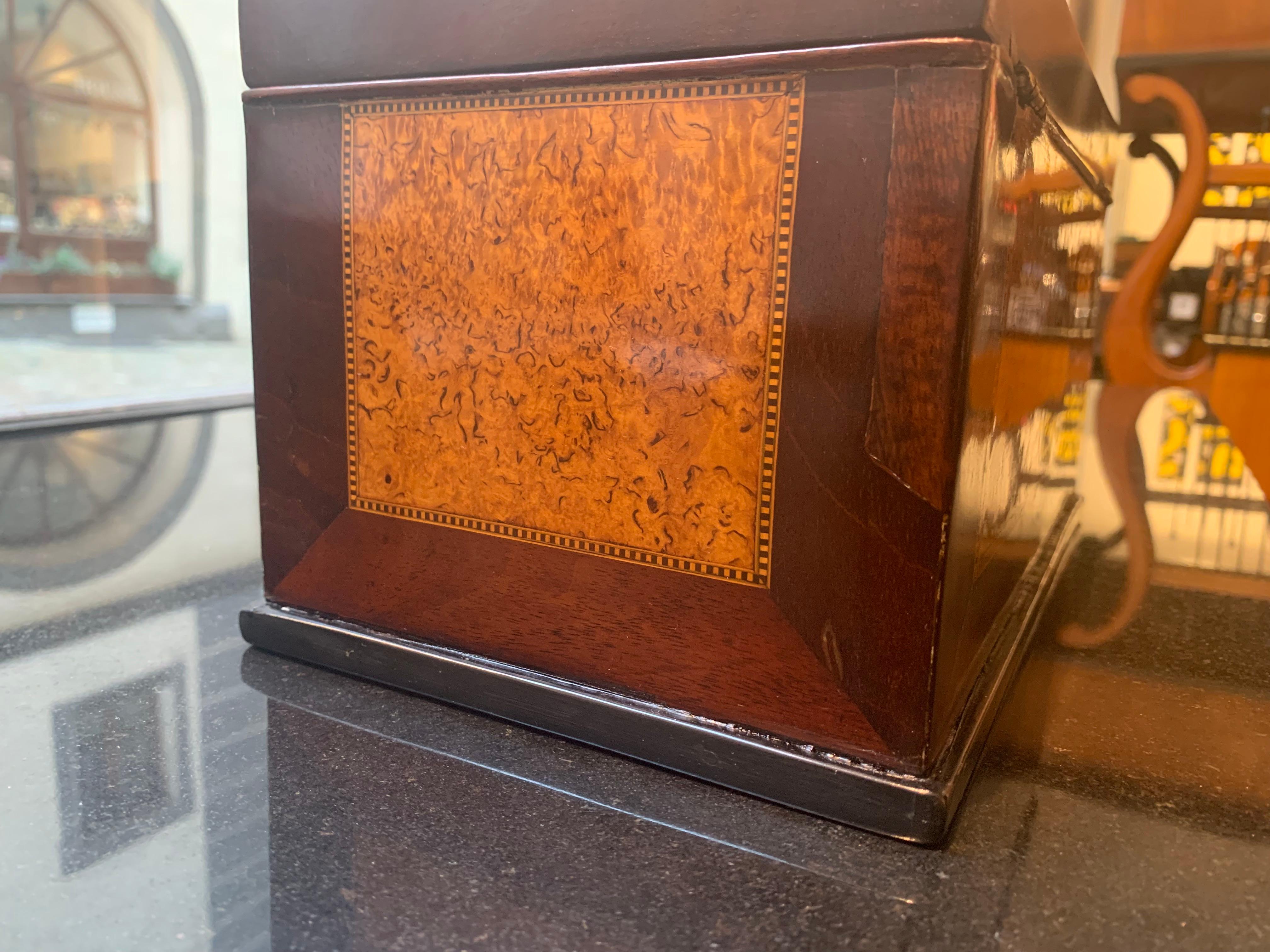 Biedermeier Box, Thuja Roots, Mahogany, Germany, 19th Century 8