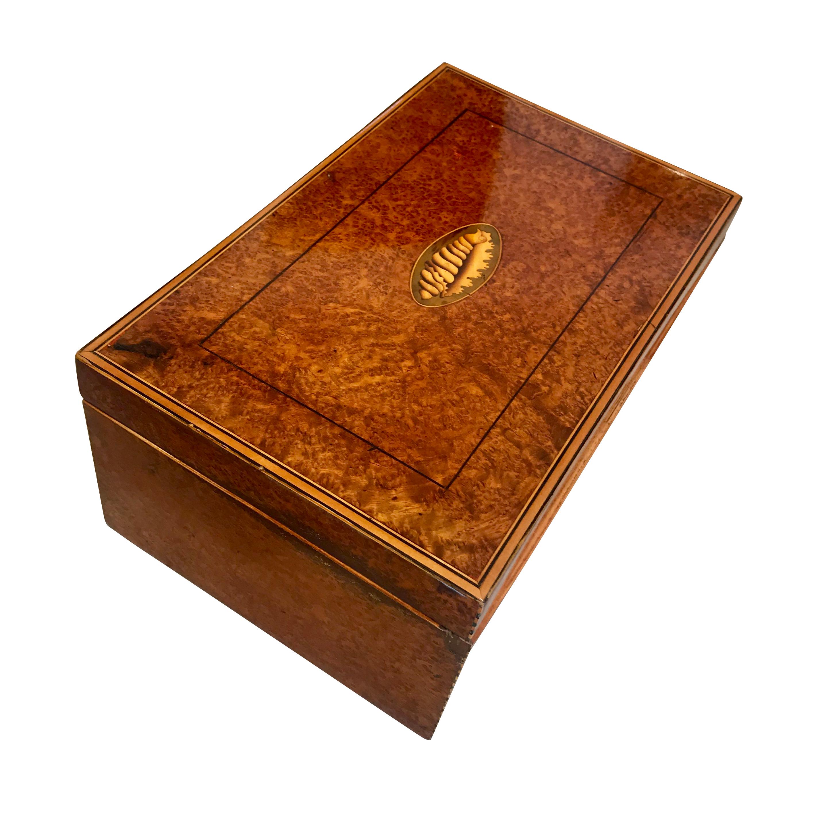 French Biedermeier Casket Box, Thuja Roots/Maple/Ebony, France, circa 1840