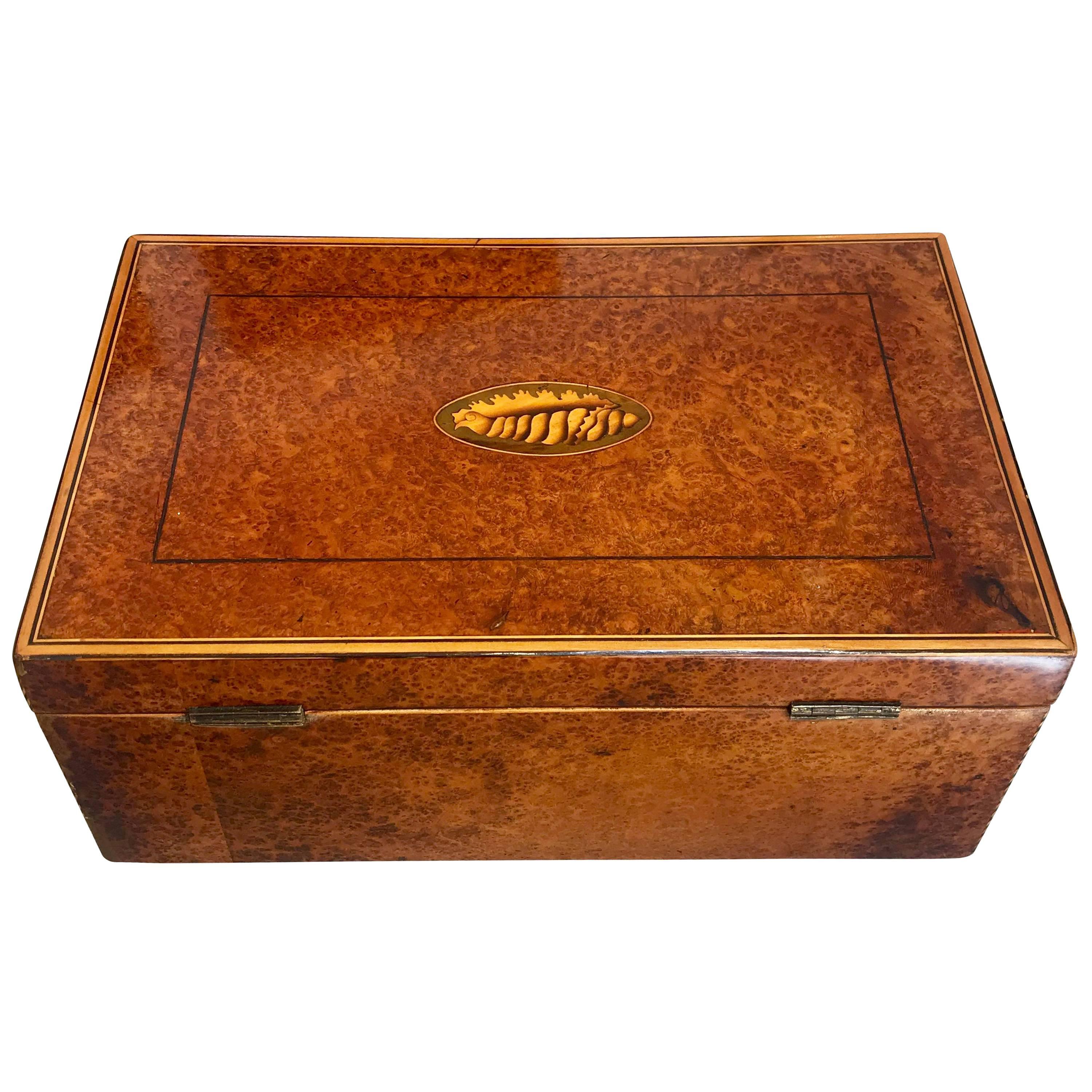 Biedermeier Casket Box, Thuja Roots/Maple/Ebony, France, circa 1840