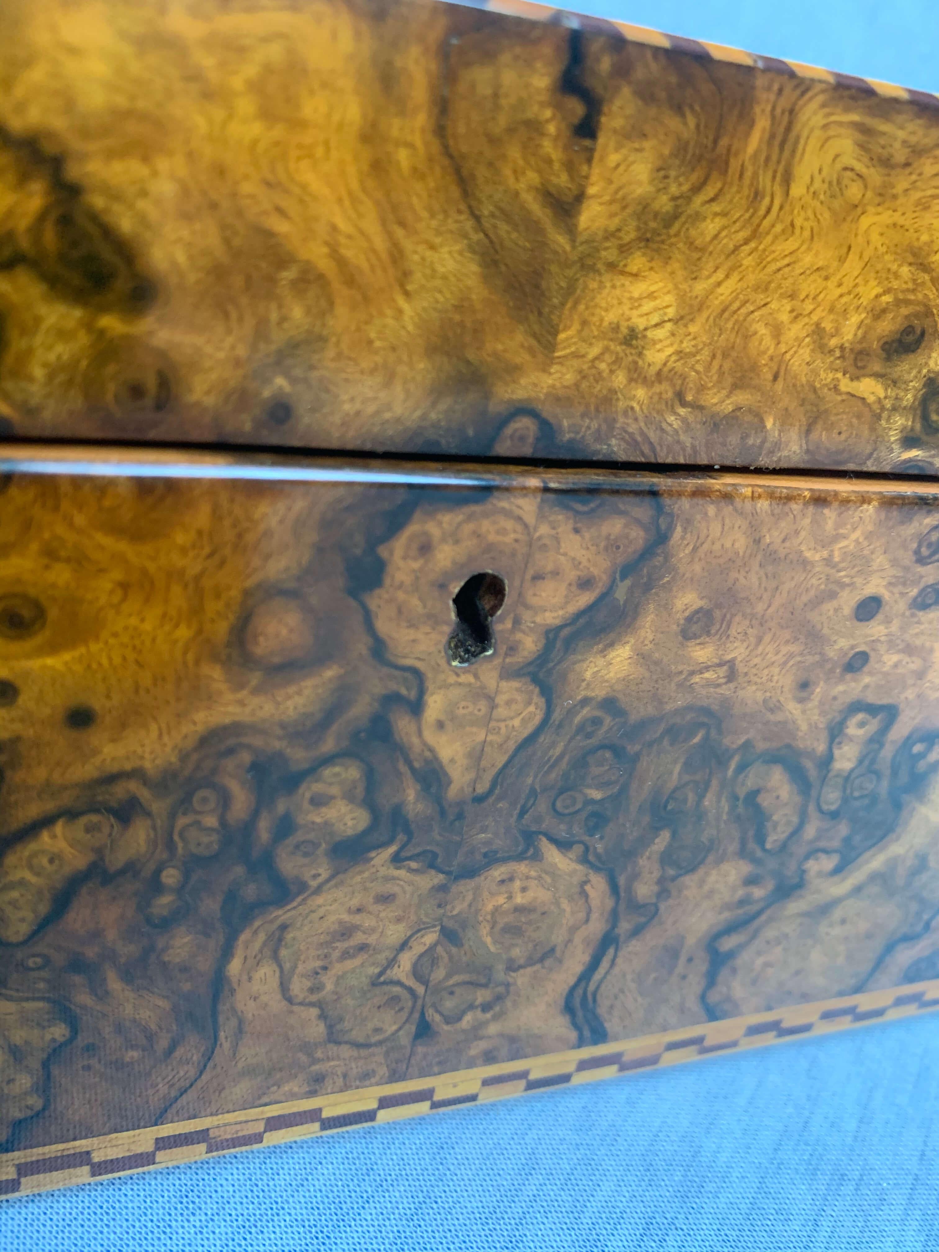 Biedermeier Box, Nussbaum Roots Furnier mit Inlays, Süddeutschland 1