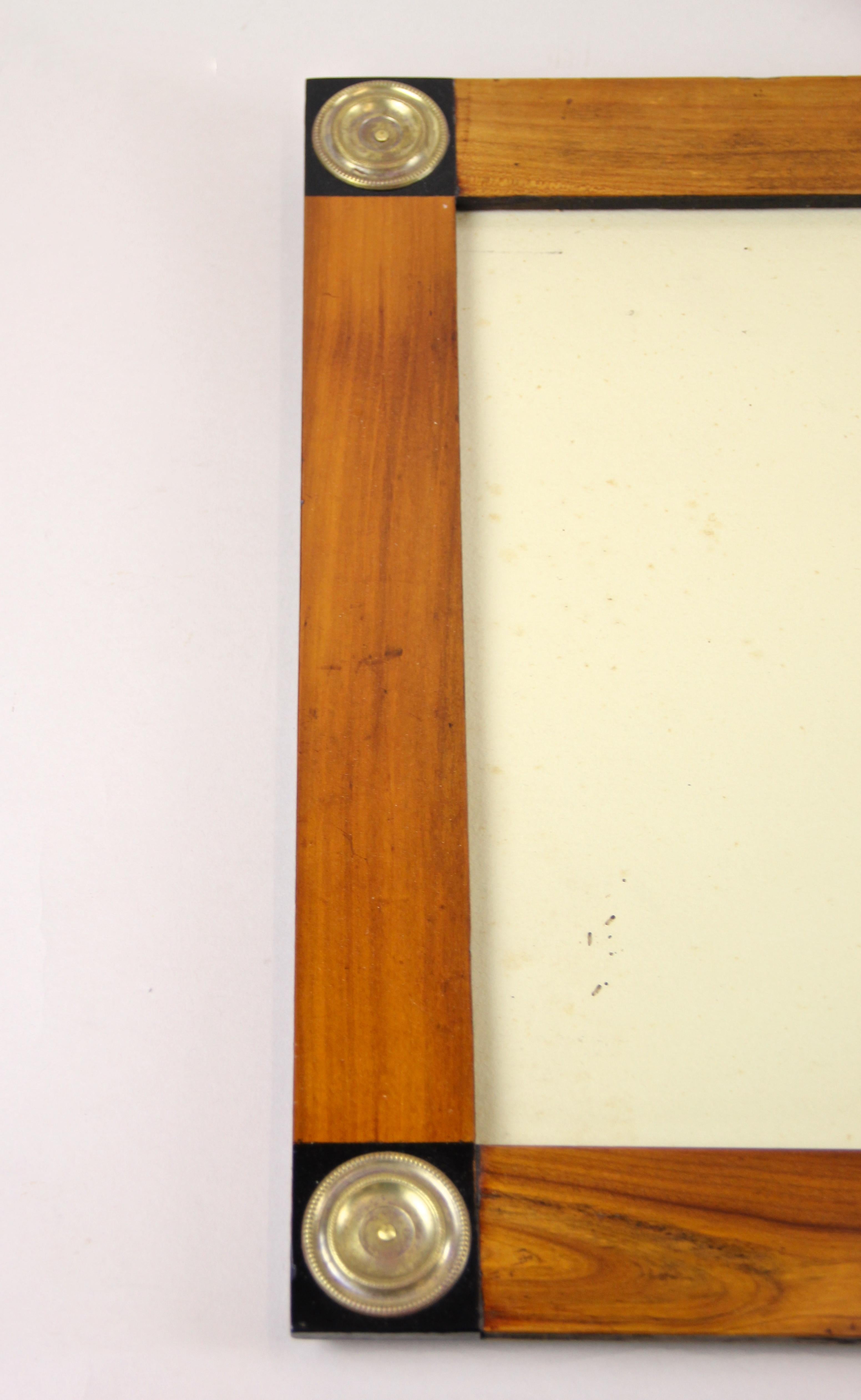 Biedermeier Cherrywood Picture Frame with Brass Applications Austria, circa 1820 3